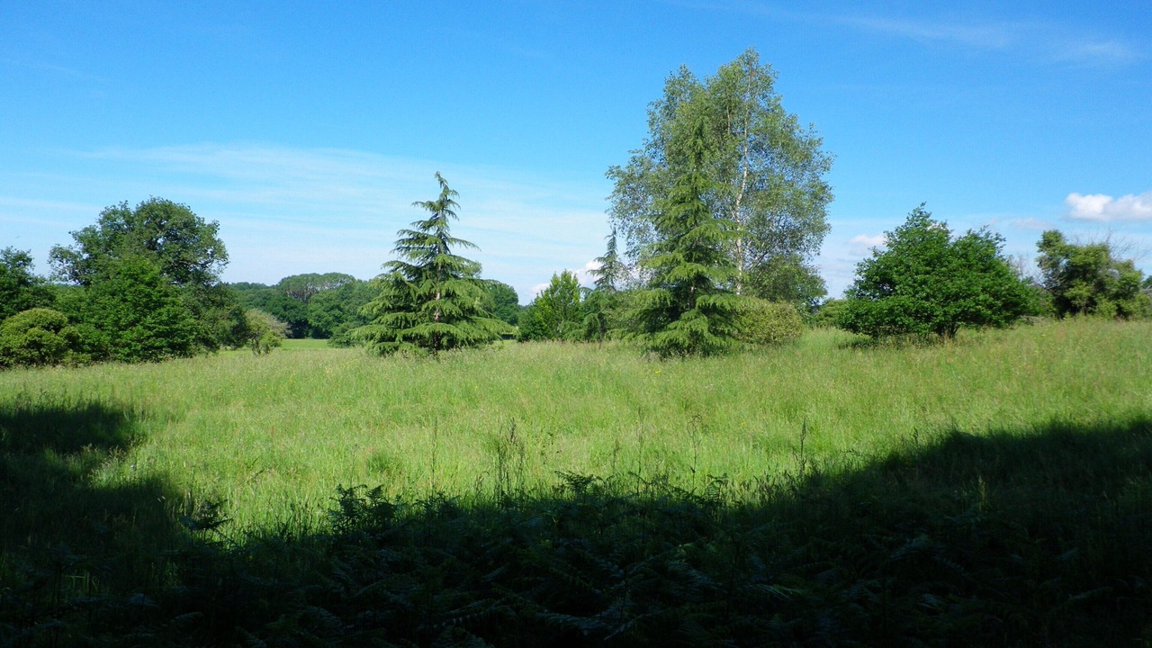 Photo of Outdoor in Betete