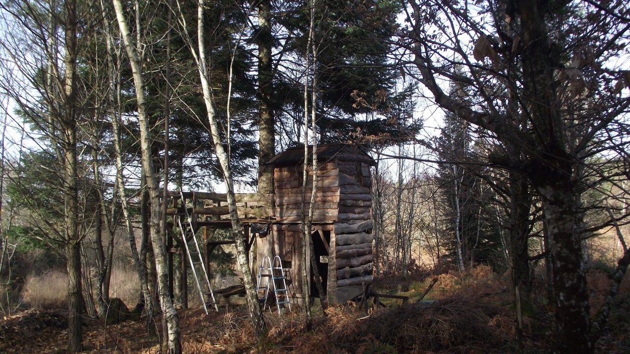Photo of Outdoor in Auriac