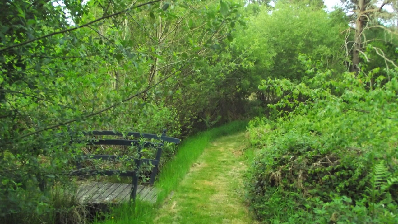 Photo of Outdoor in Auriac