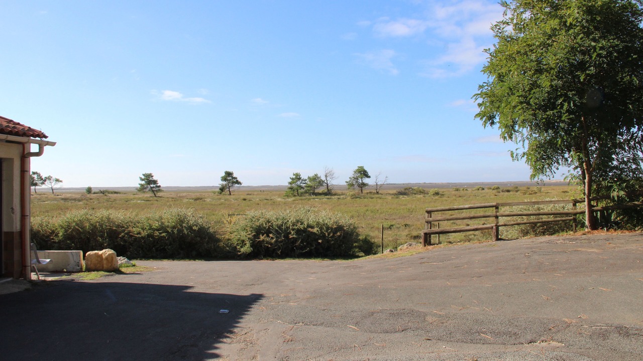Photo of Outdoor in Les Mathes