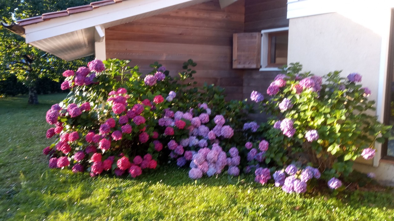 Photo of Outdoor in Saint-Sulpice-et-Cameyrac