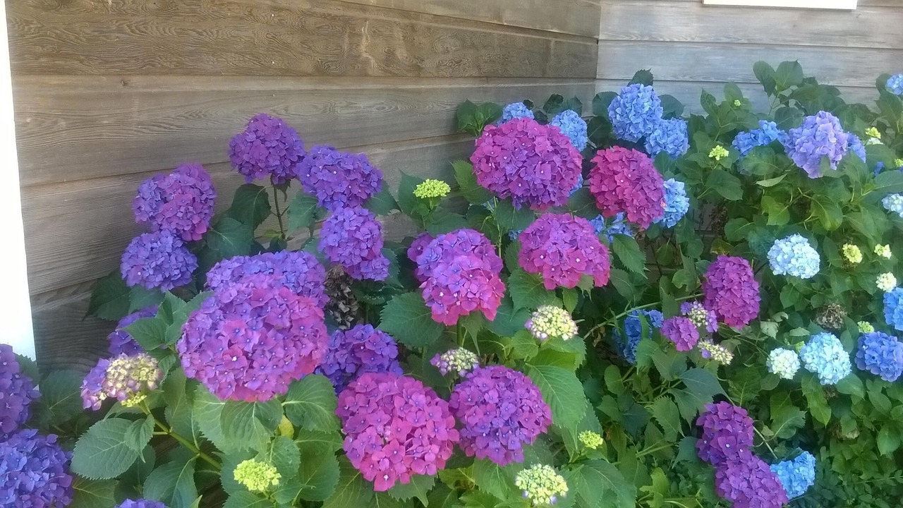 Photo of Outdoor in Saint-Sulpice-et-Cameyrac