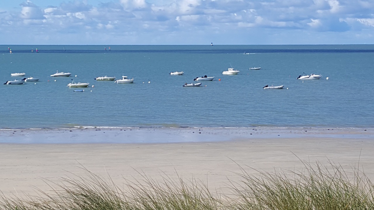 Photo of Others in La Couarde-sur-Mer