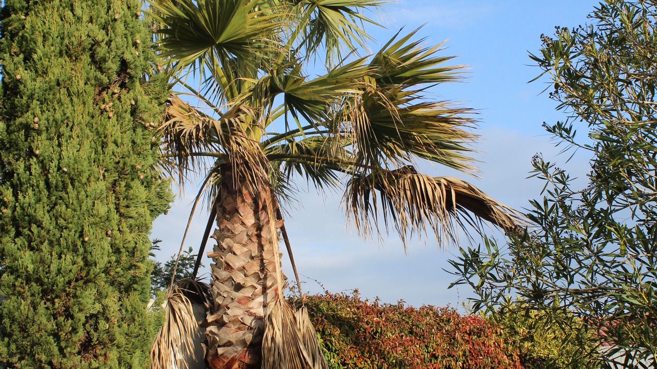 Photo of Outdoor in La Couarde-sur-Mer