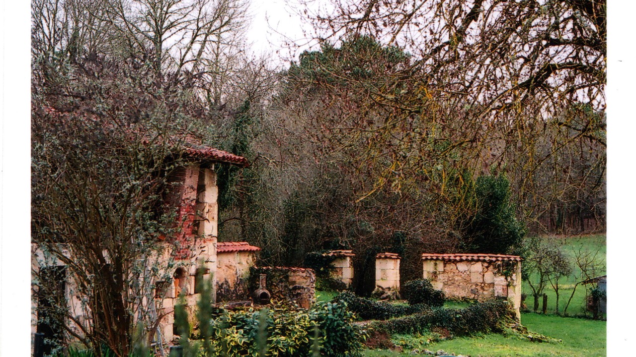 Photo of Outdoor in Ponteyraud