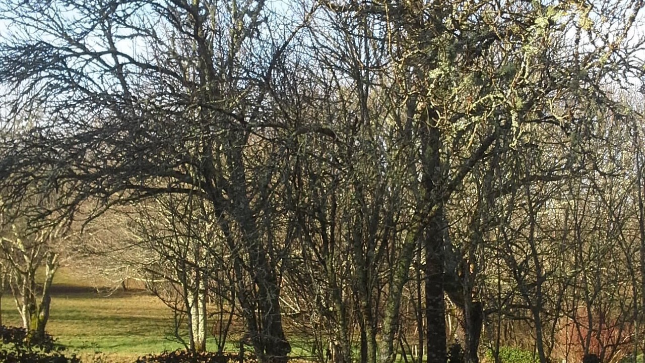 Photo of Outdoor in Ponteyraud