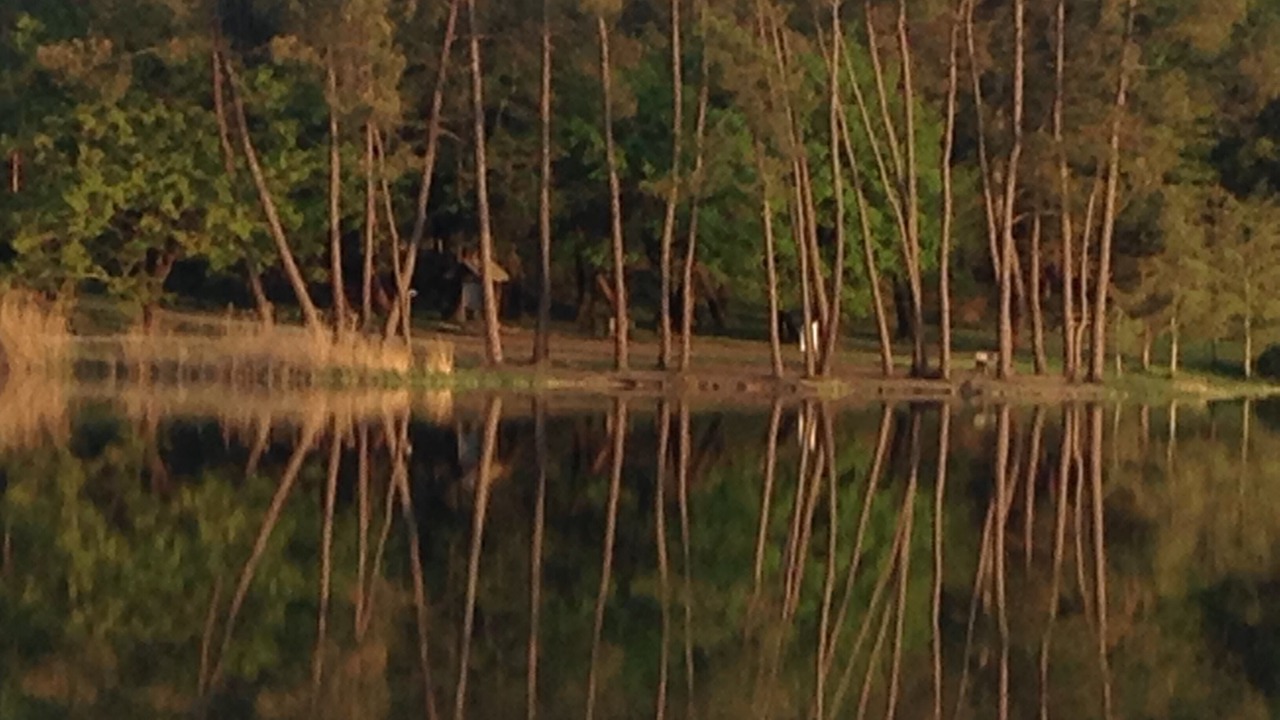 Photo of Others in Ponteyraud
