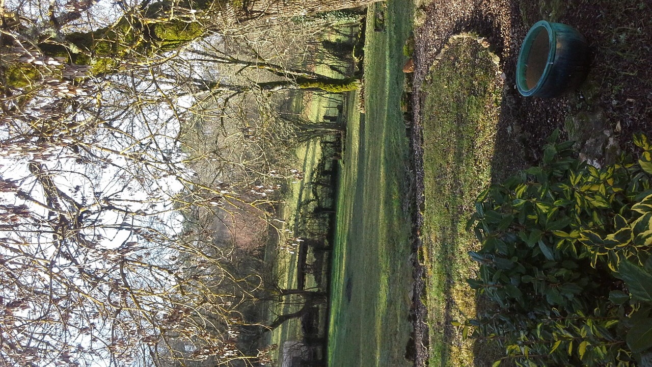 Photo of Others in Ponteyraud