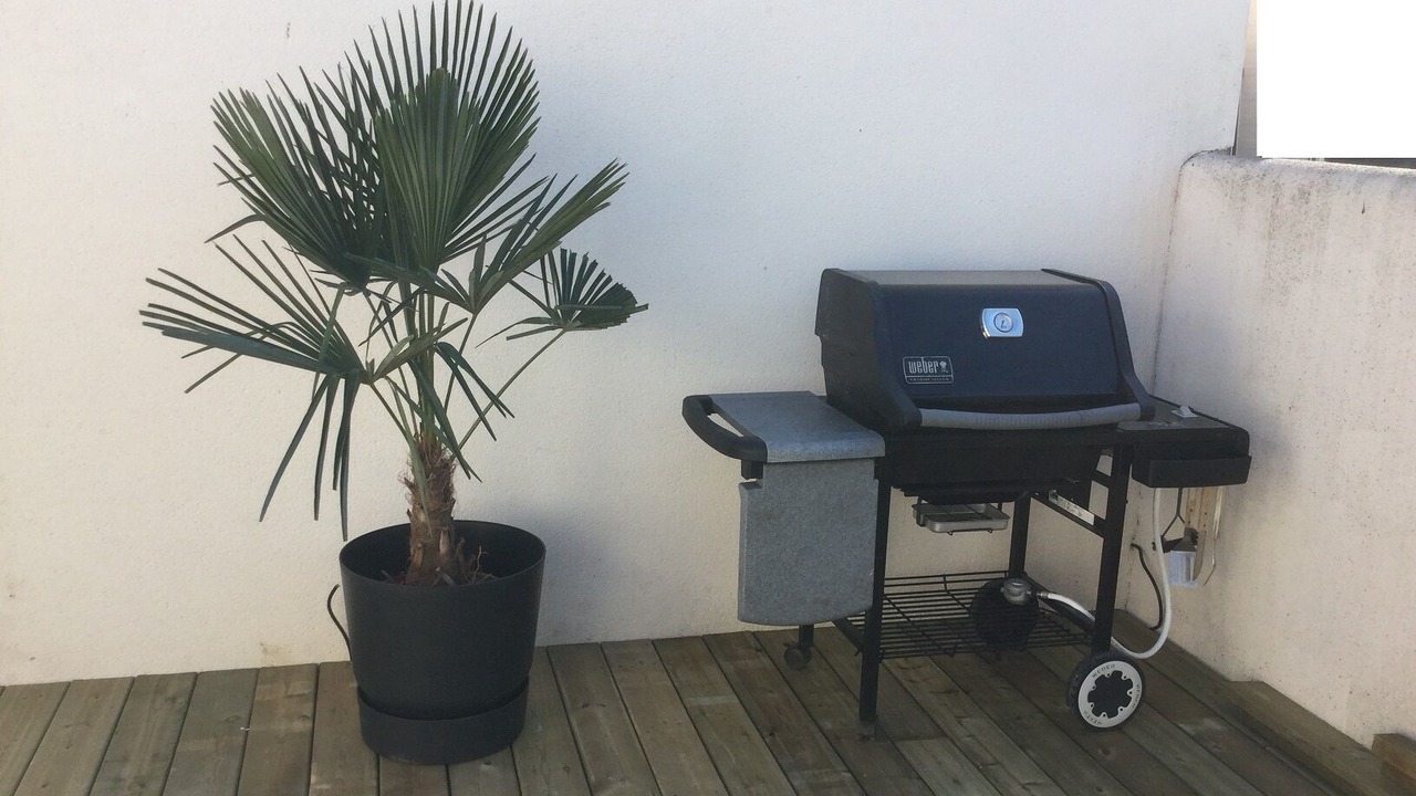 Photo of Outdoor in La Remigeasse
