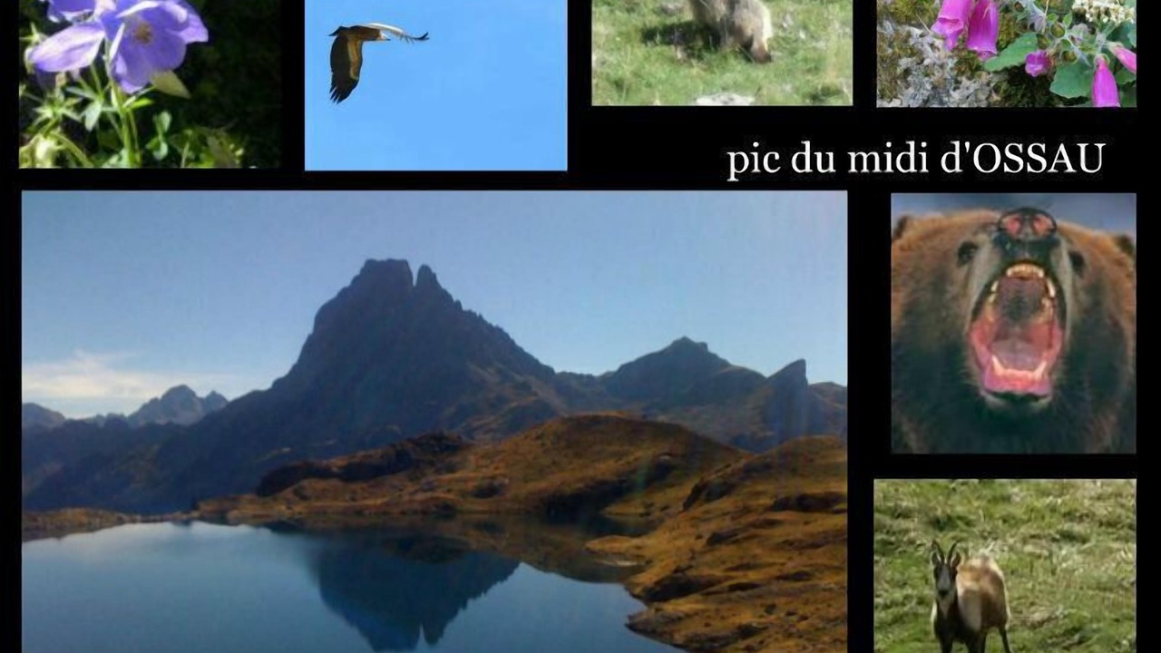 Photo of Others in Beost