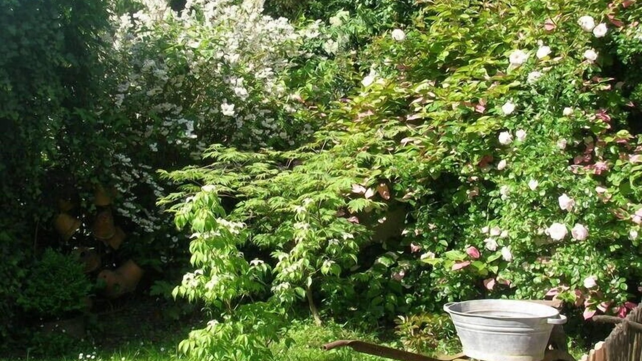 Photo of Outdoor in Jumilhac-le-Grand
