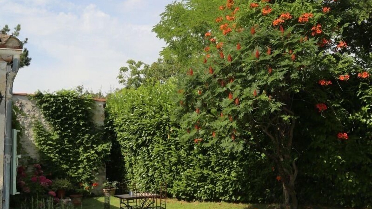 Photo of Outdoor in Montpezat