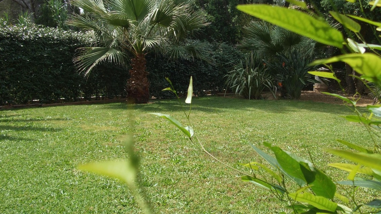 Photo of Outdoor in La Faviere
