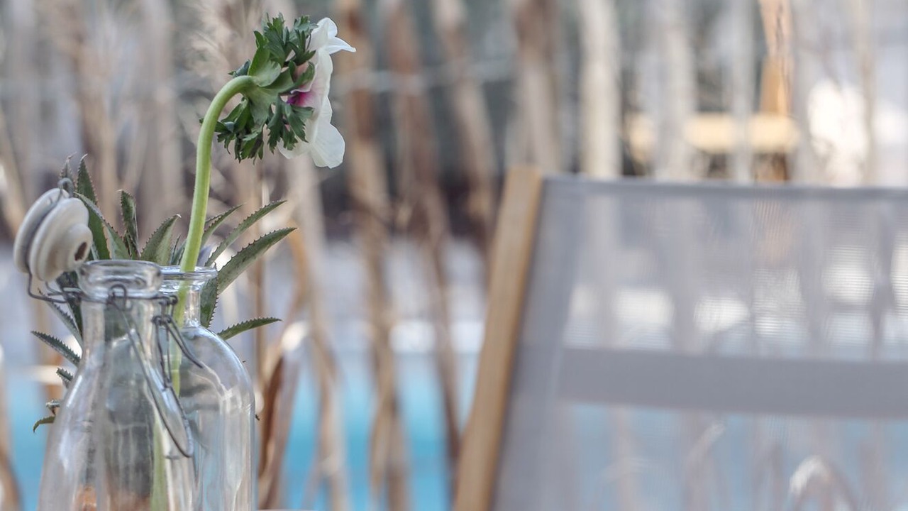 Photo of Outdoor in La Palmyre