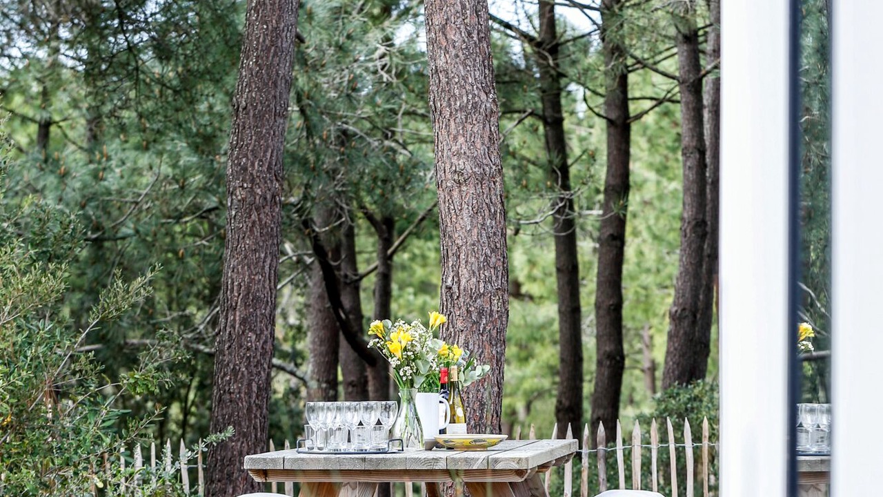 Photo of Outdoor in La Palmyre