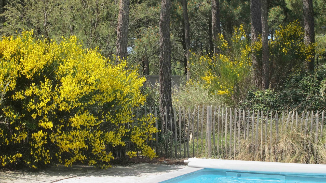 Photo of Outdoor in La Palmyre
