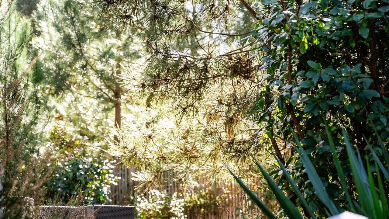 Photo of Outdoor in Lit-et-Mixe
