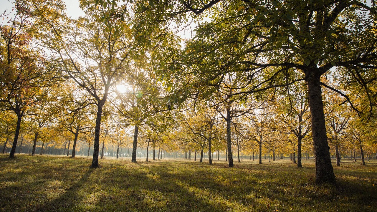 Photo of Outdoor in Nerac