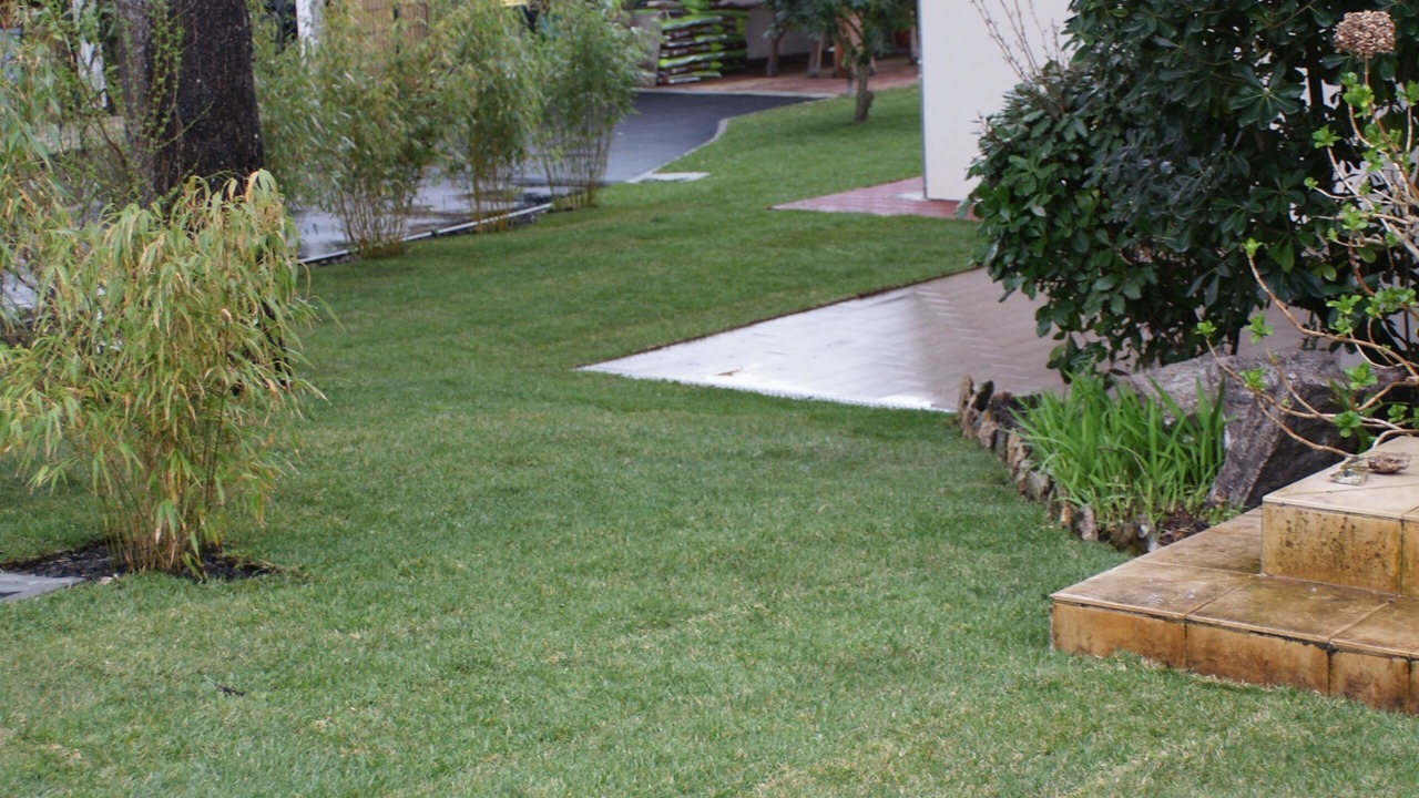 Photo of Outdoor in Arcachon