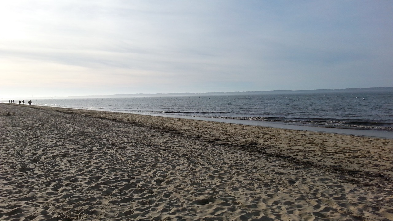 Photo of Others in Arcachon
