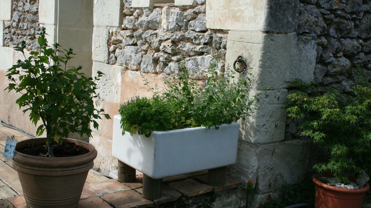 Photo of Outdoor in Pleumartin