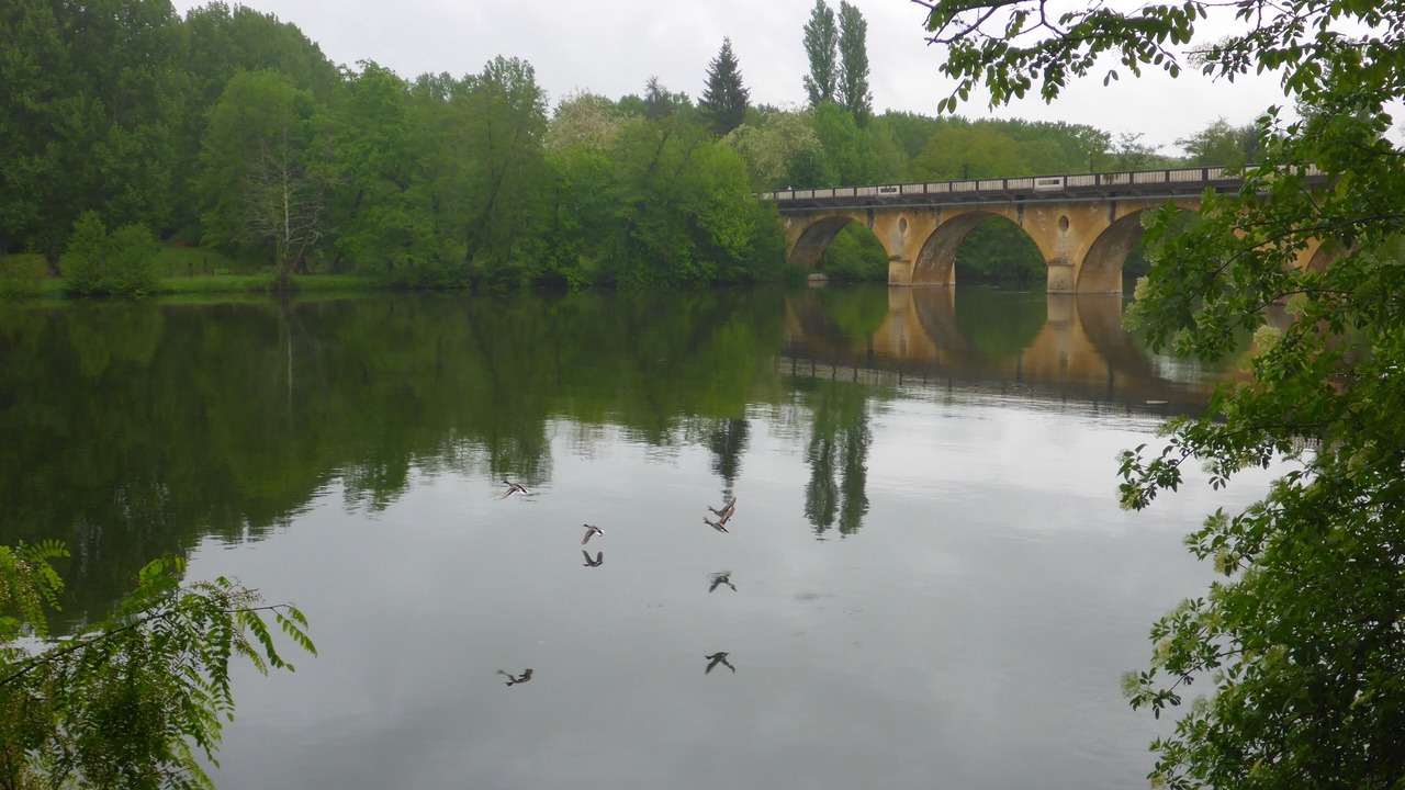 Photo of Others in Cales