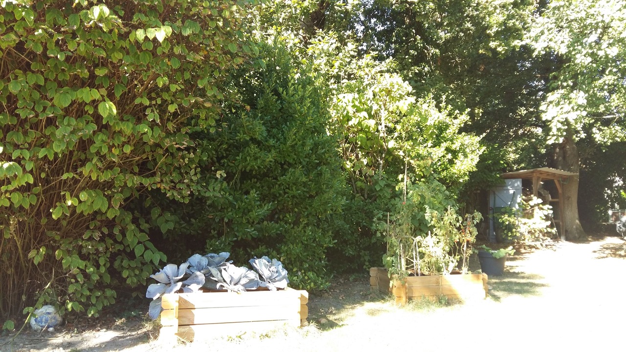 Photo of Outdoor in Pessac