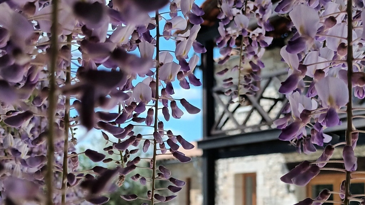 Photo of Outdoor in Loubezs-Bernac