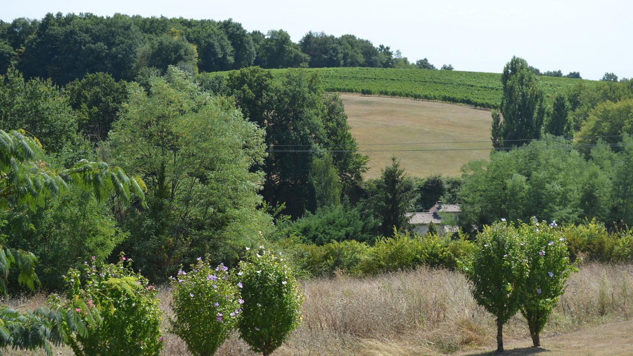 Photo of Outdoor in Fougueyrolles