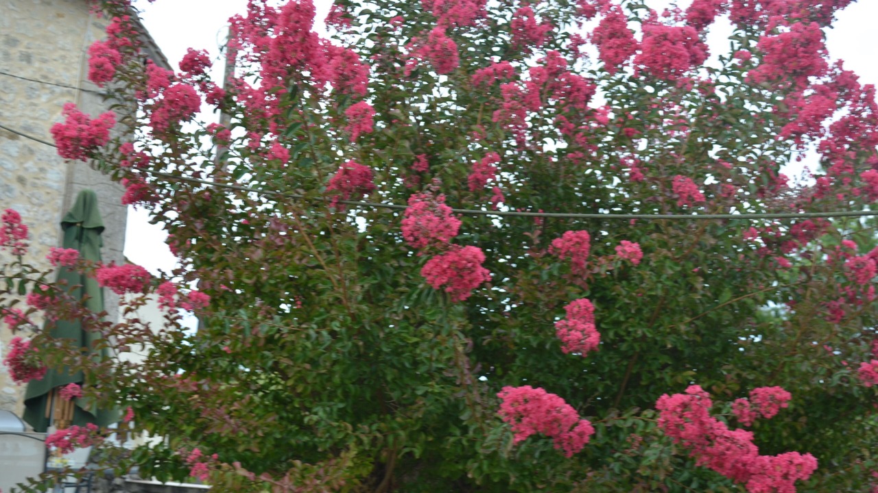 Photo of Outdoor in Fougueyrolles
