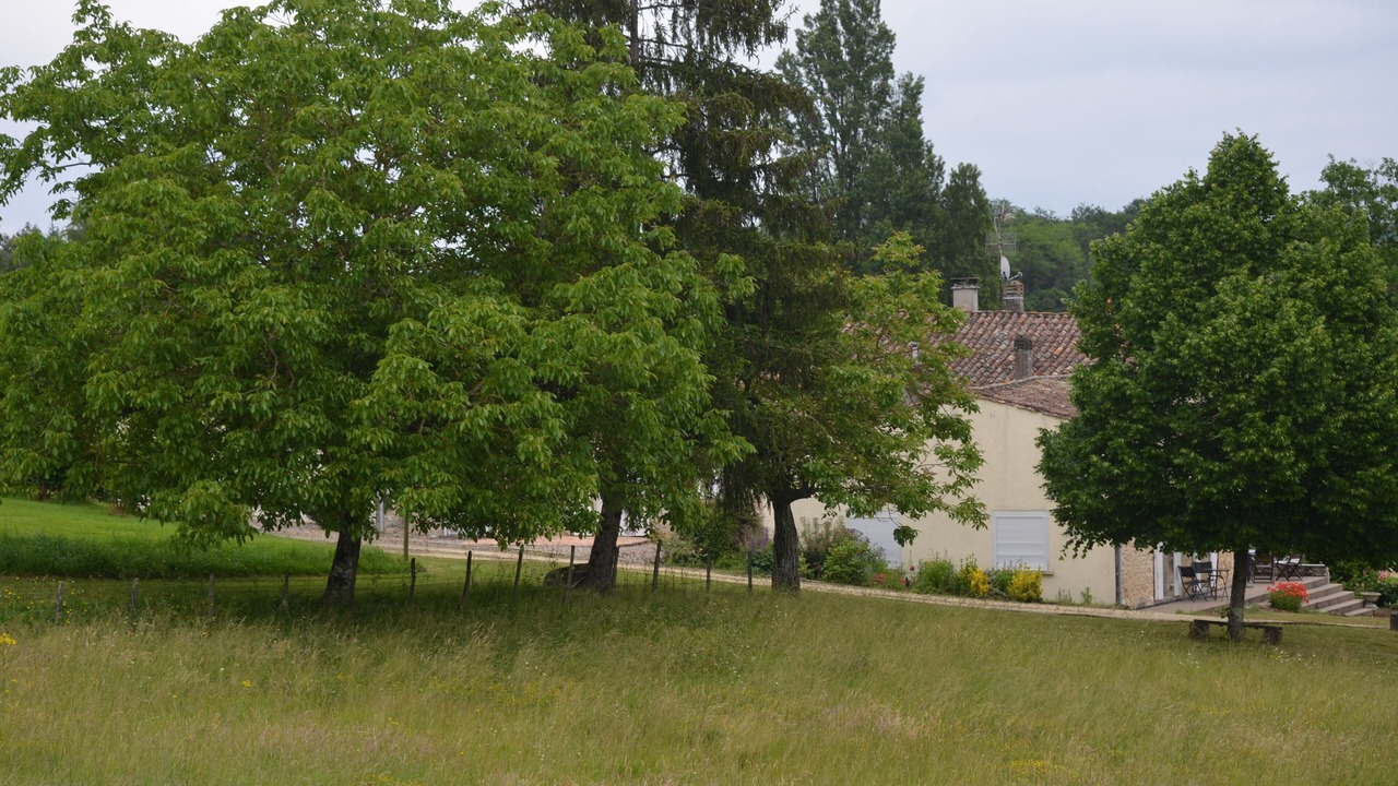 Photo of Outdoor in Fougueyrolles