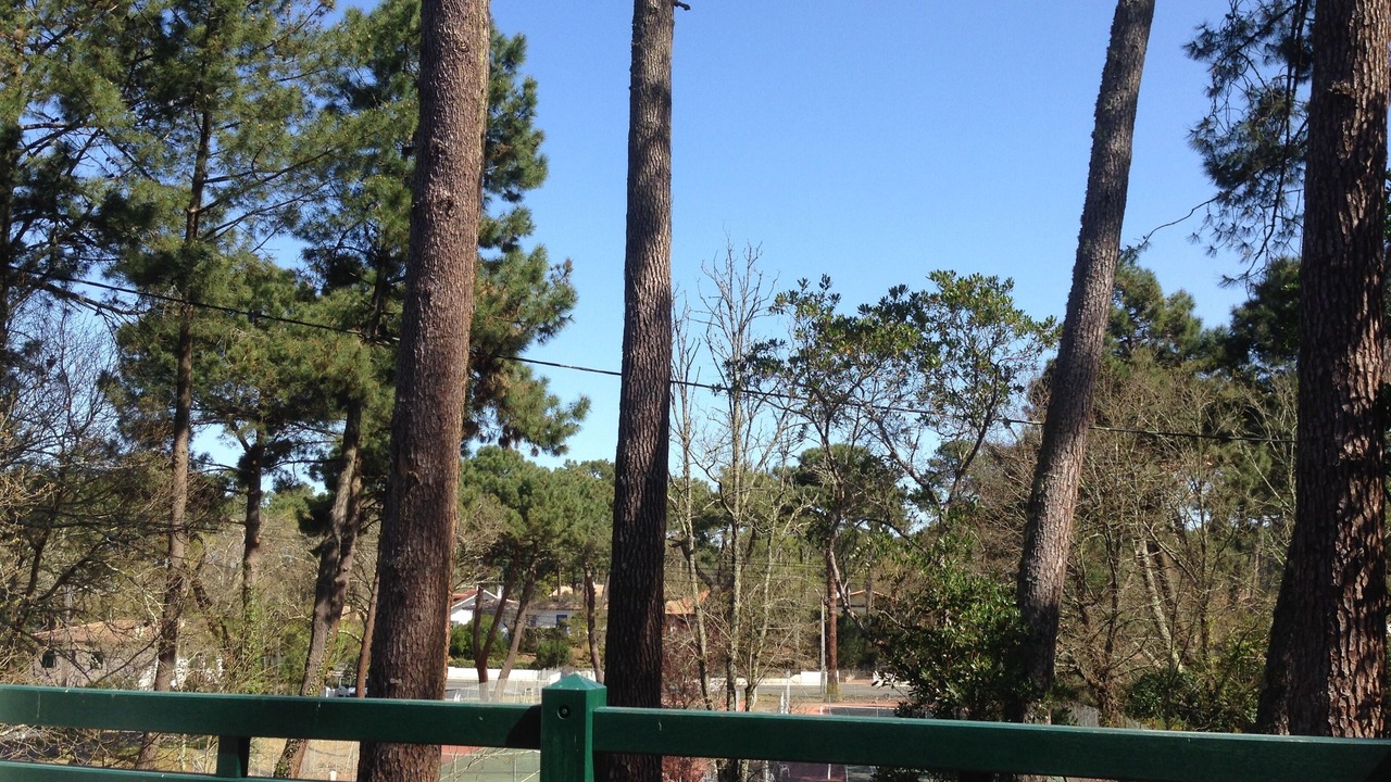 Photo of Outdoor in Pyla-sur-Mer