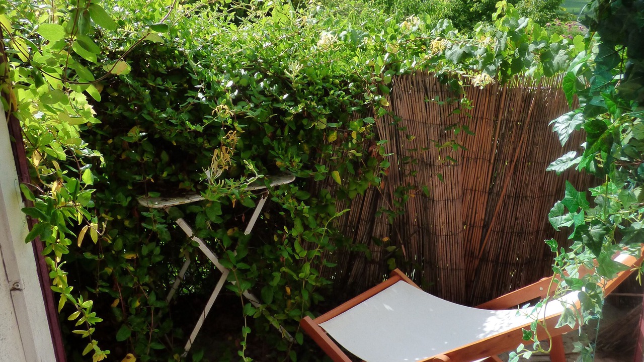 Photo of Outdoor in Nanteuil-de-Bourzac