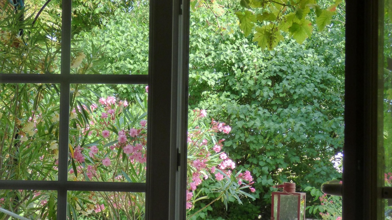 Photo of Outdoor in Nanteuil-de-Bourzac