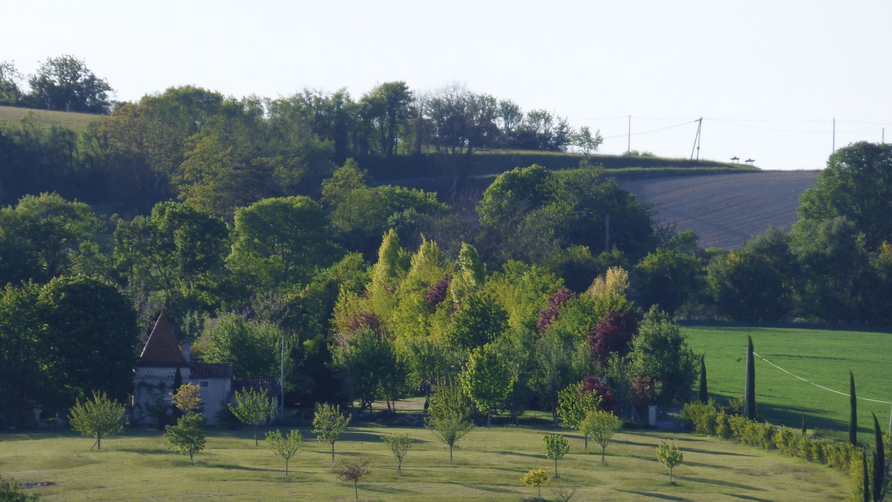 Photo of Others in Nanteuil-de-Bourzac