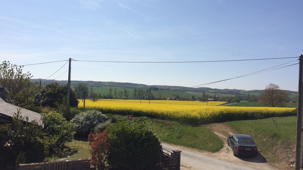 Photo of Outdoor in Coussay-les-Bois