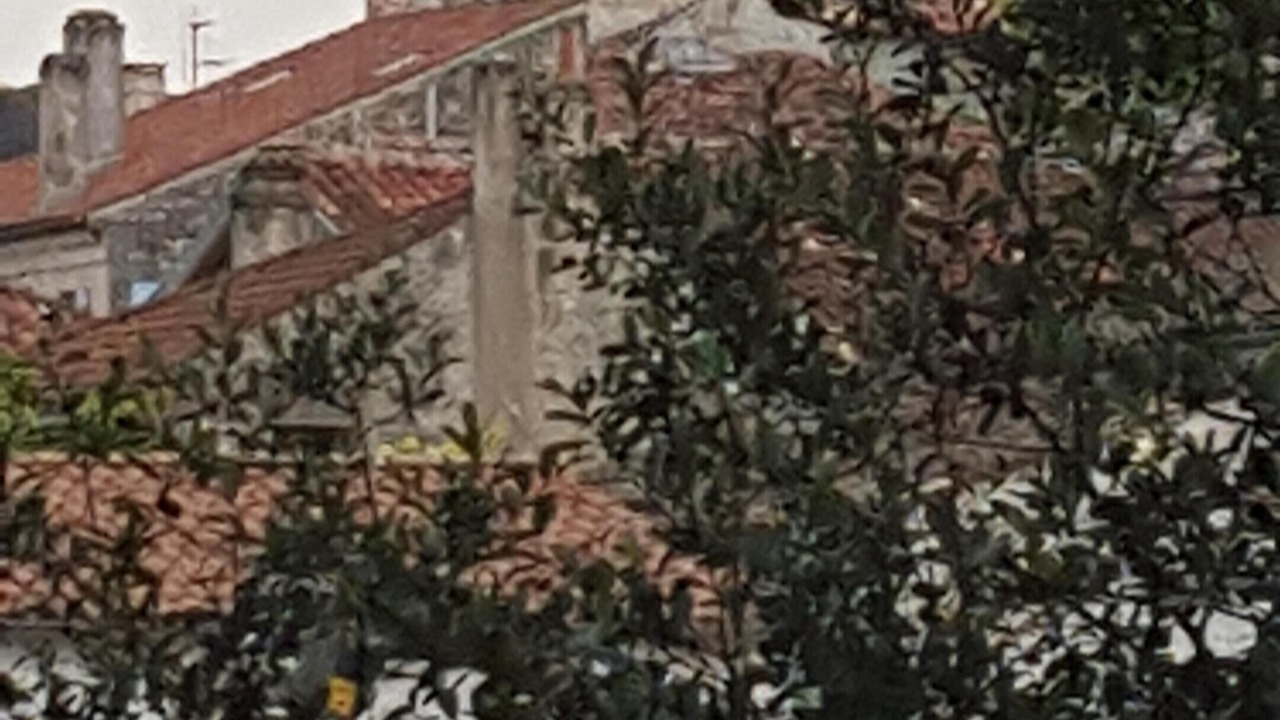 Photo of Outdoor in Pons
