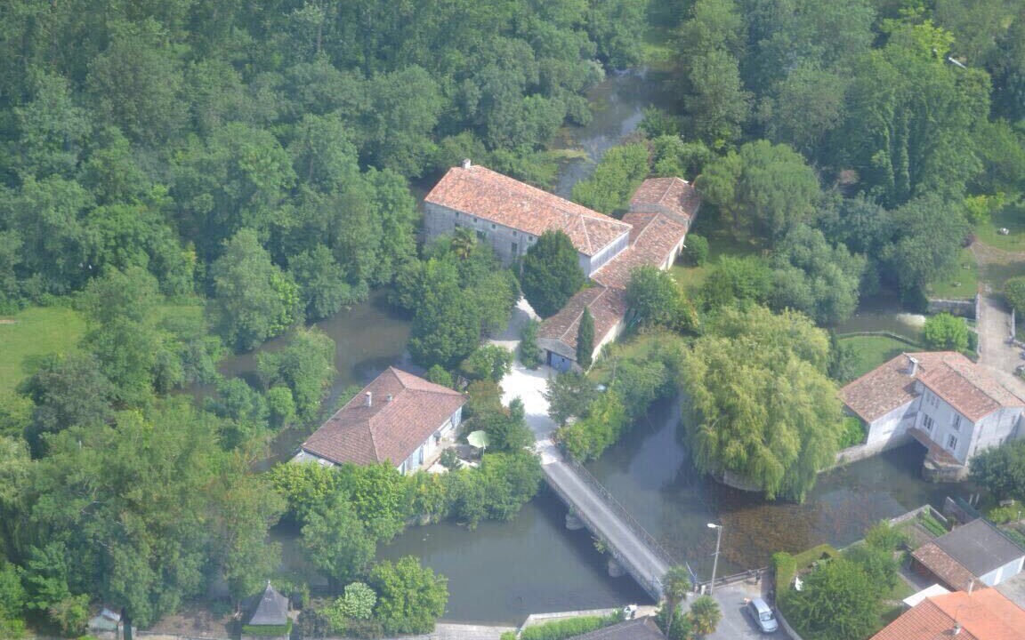 Photo of Others in Pons