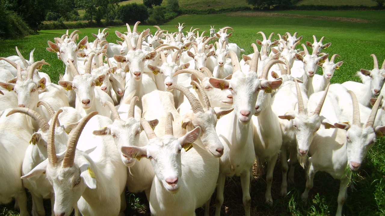 Photo of Others in Pompaire