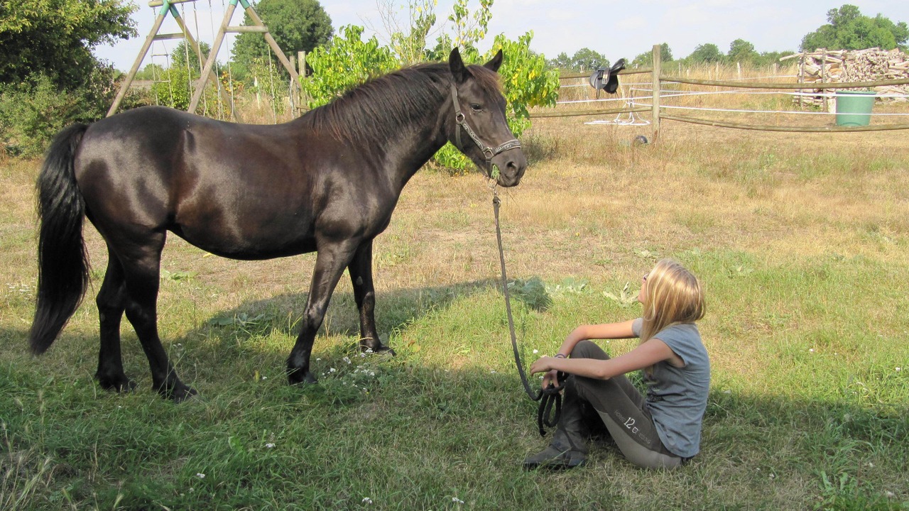 Photo of Outdoor in Pompaire