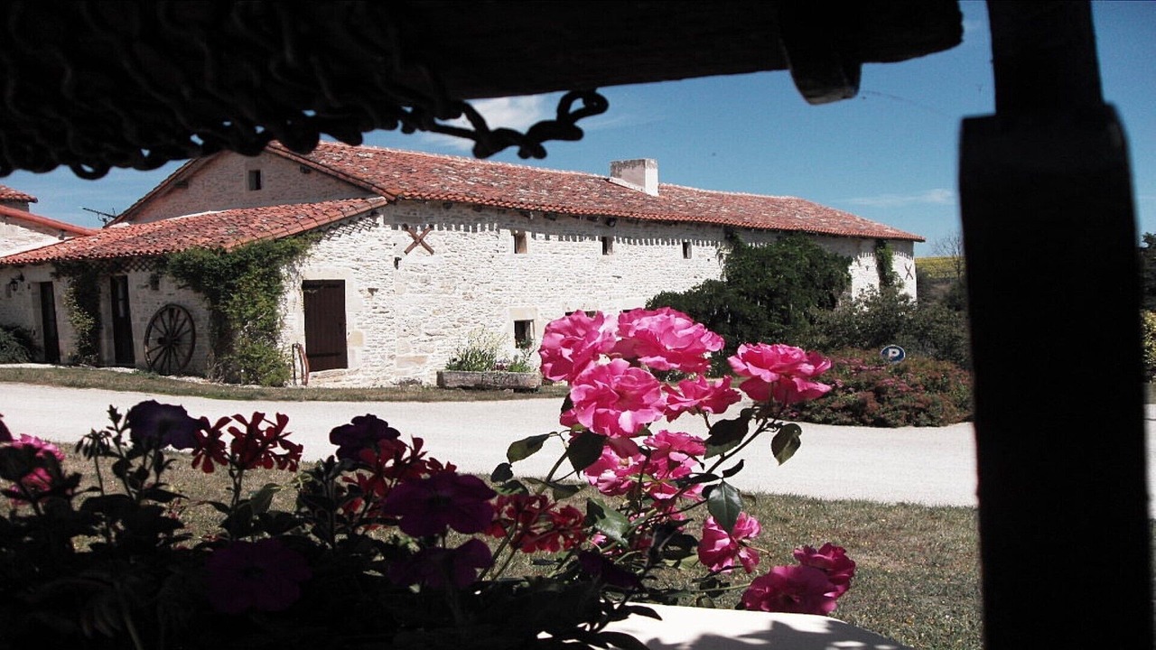 Photo of Outdoor in Mauprevoir