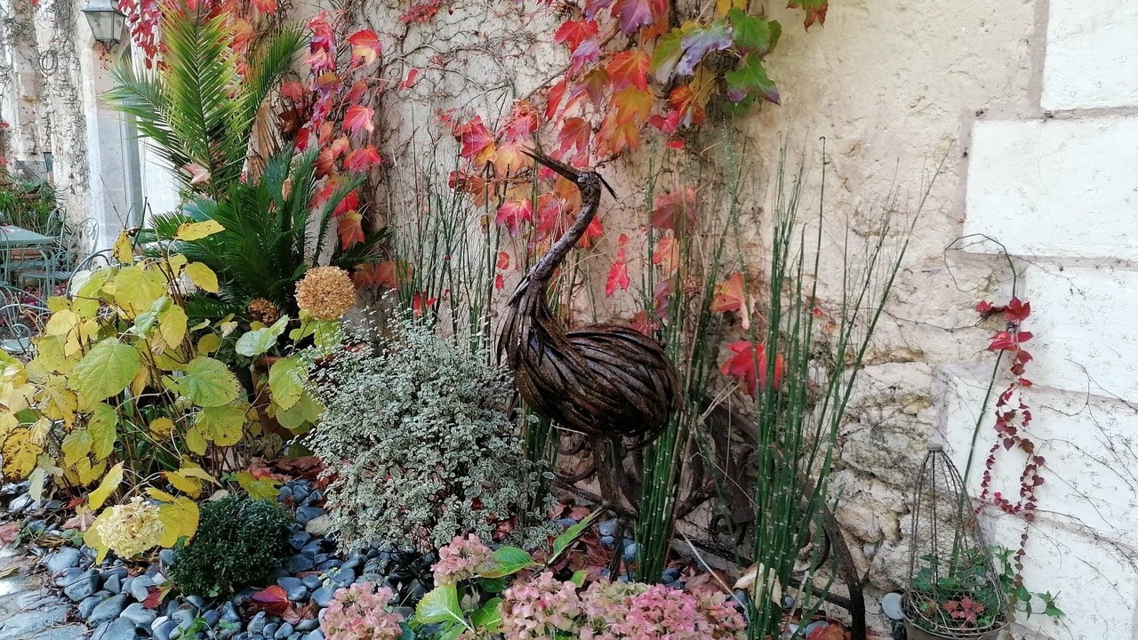 Photo of Outdoor in Le Taillan-Medoc