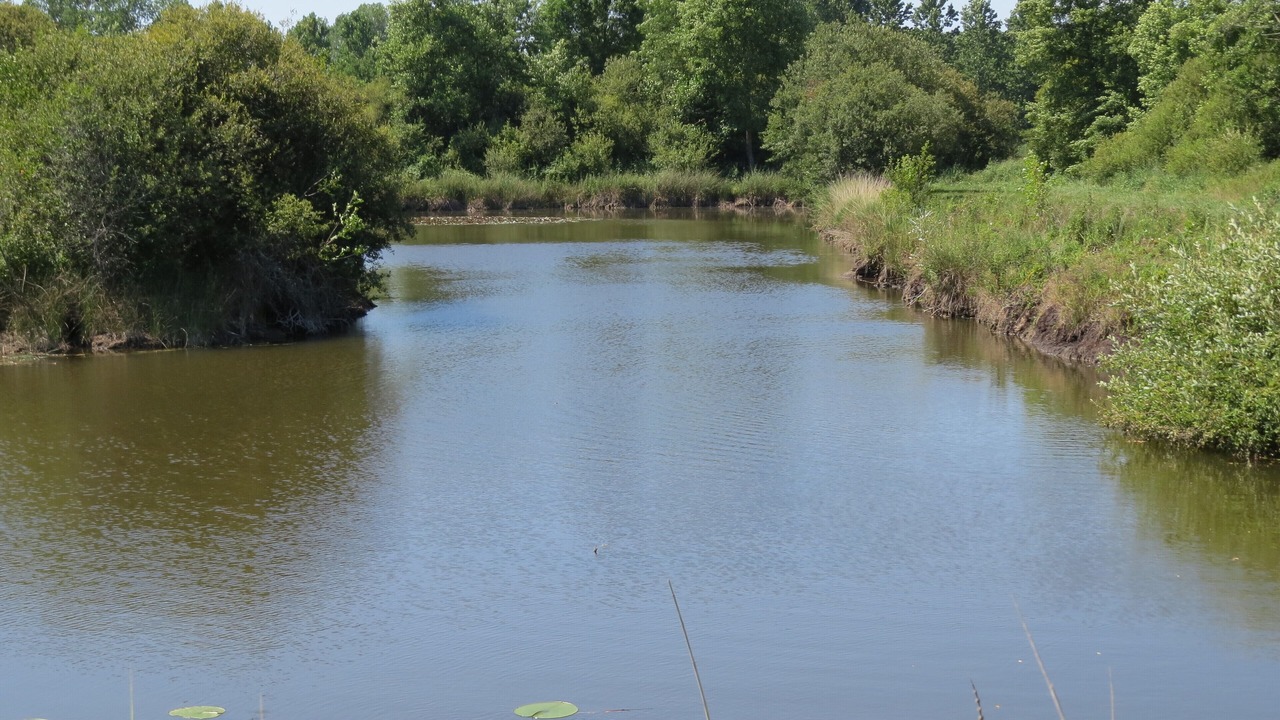 Photo of Outdoor in La Rochebeaucourt-et-Argentine