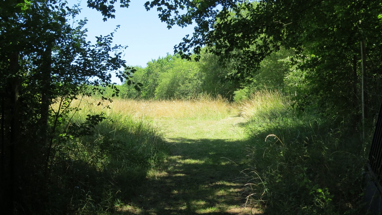 Photo of Others in La Rochebeaucourt-et-Argentine