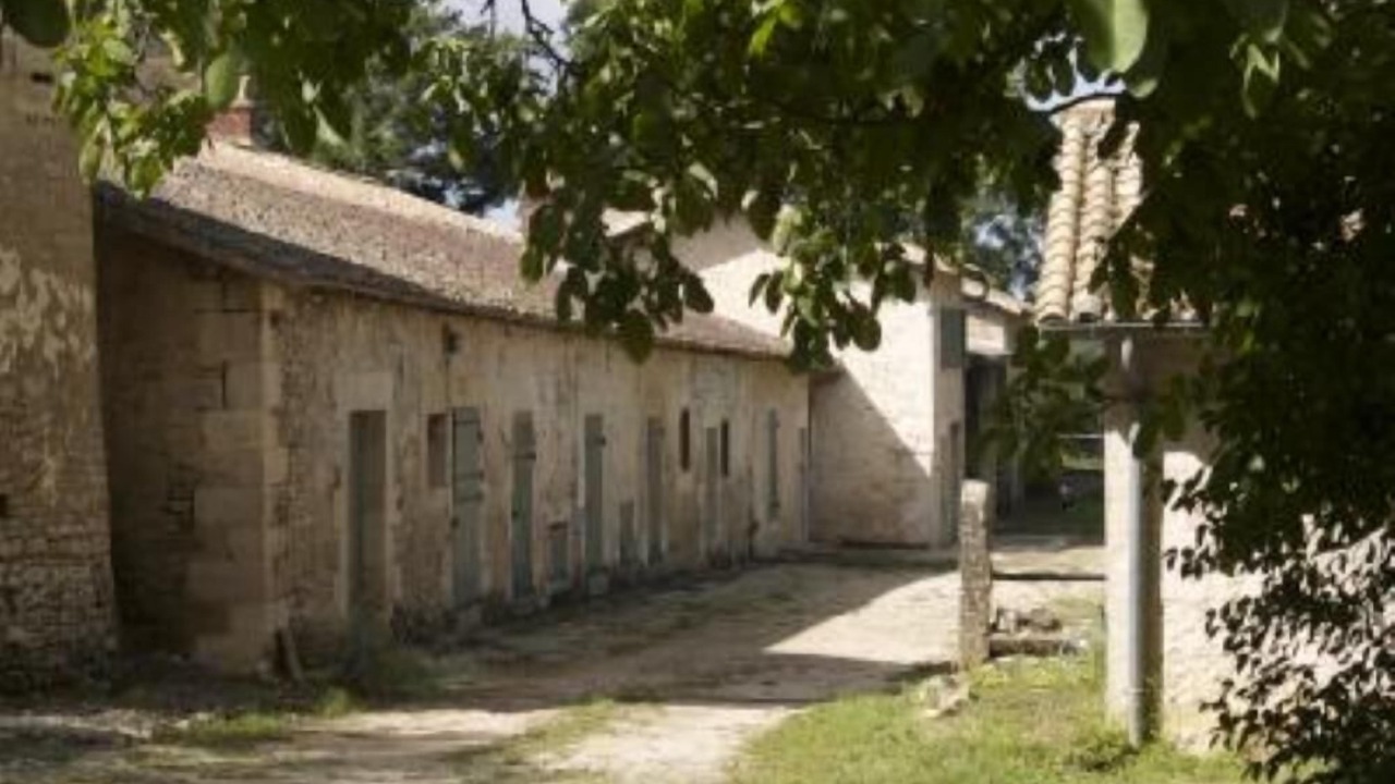Photo of Others in Saivres