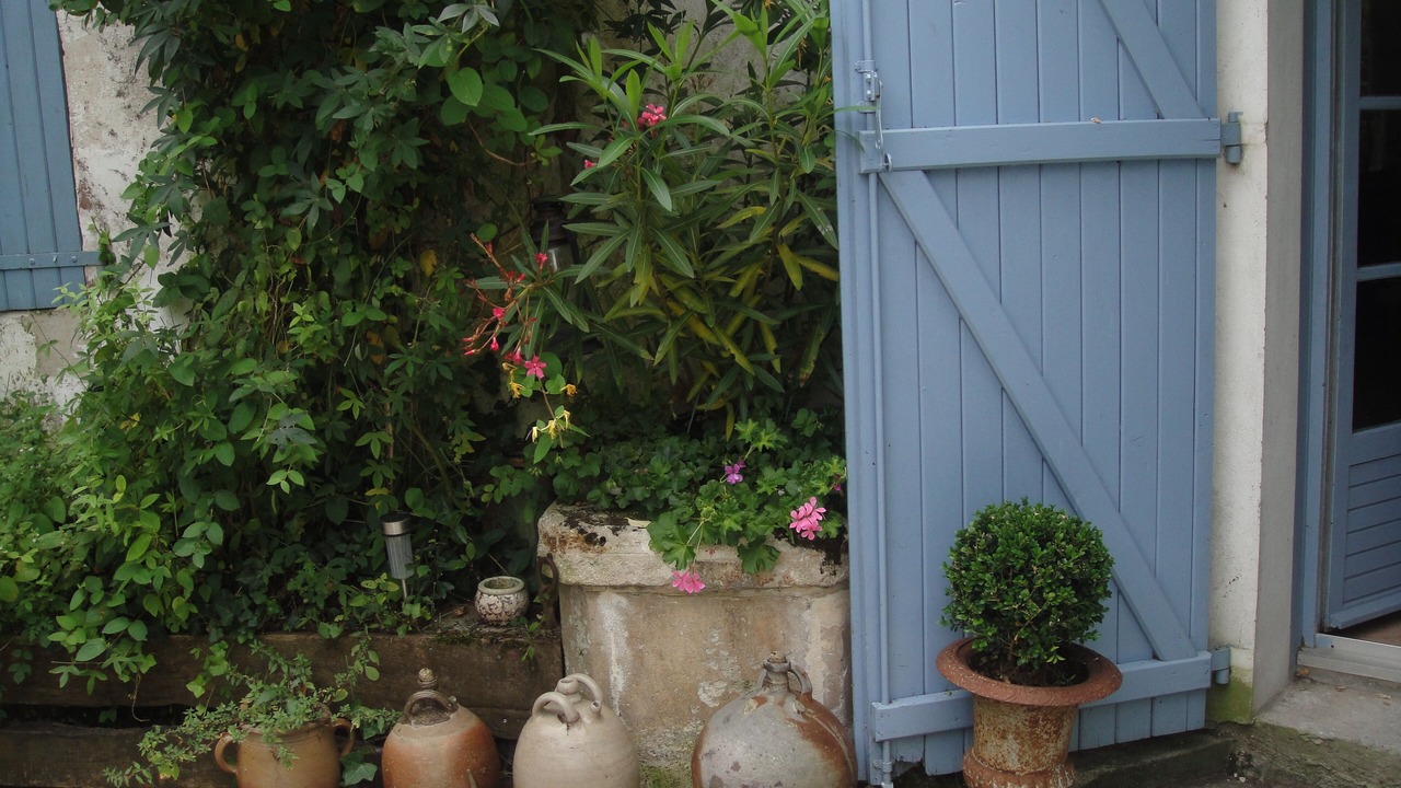 Photo of Outdoor in Chaillevette