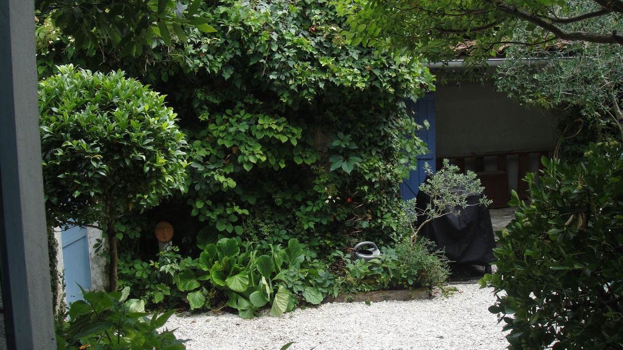 Photo of Outdoor in Chaillevette