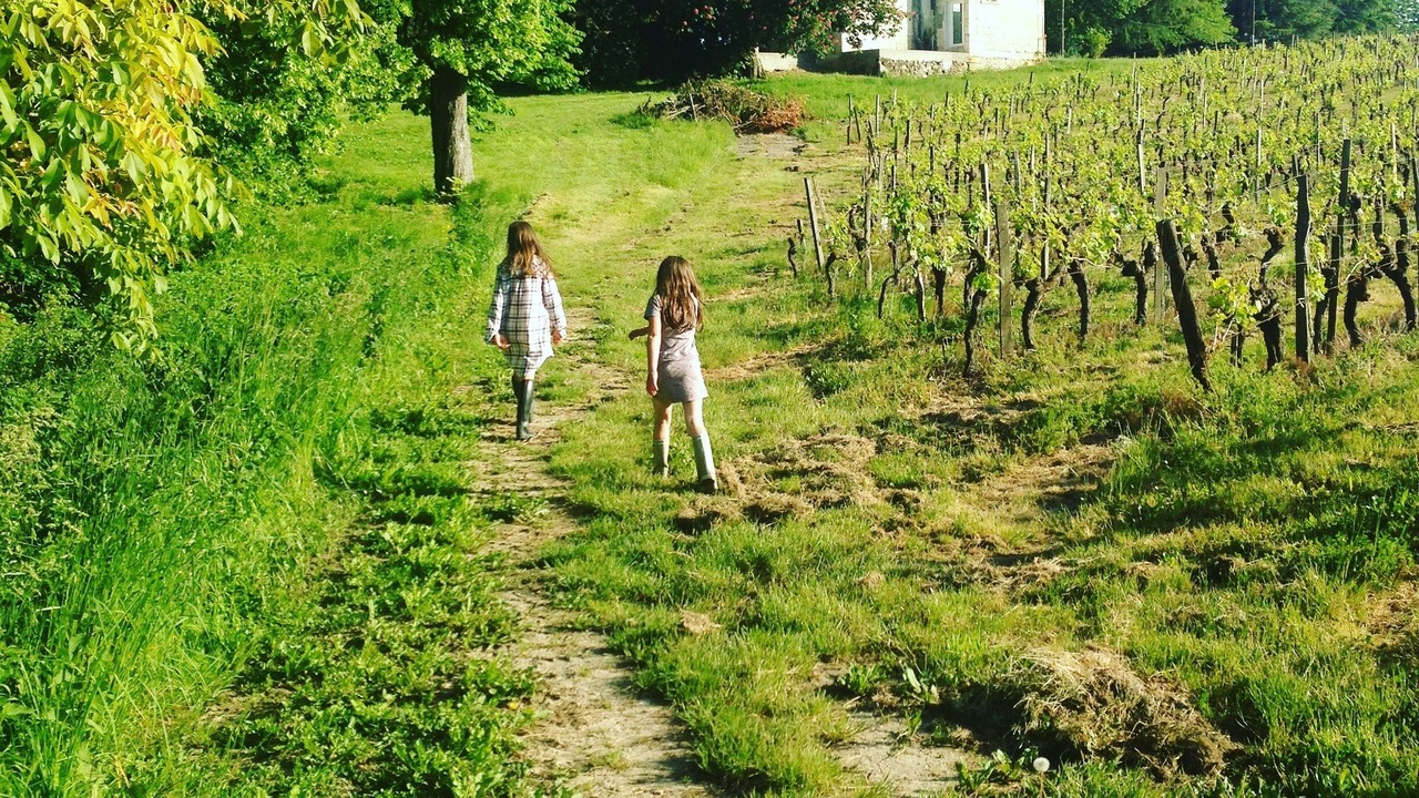 Photo of Others in Fronsac