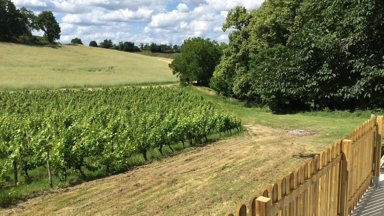 Photo of Others in Fronsac