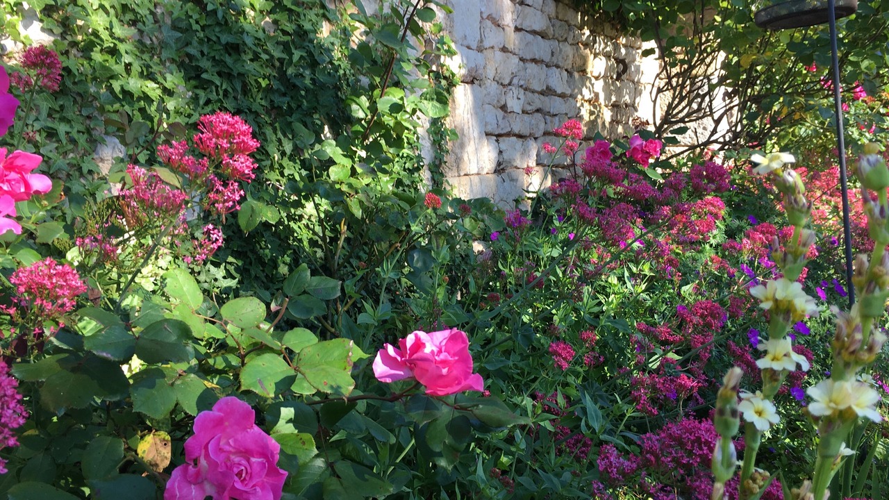 Photo of Outdoor in Sauze-Vaussais